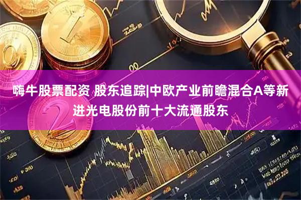 嗨牛股票配资 股东追踪|中欧产业前瞻混合A等新进光电股份前十大流通股东