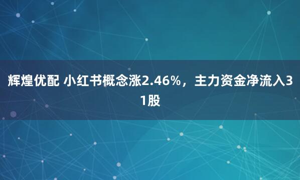 辉煌优配 小红书概念涨2.46%，主力资金净流入31股