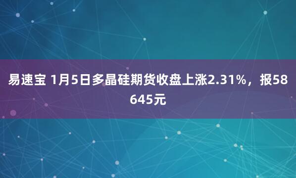 易速宝 1月5日多晶硅期货收盘上涨2.31%，报58645元