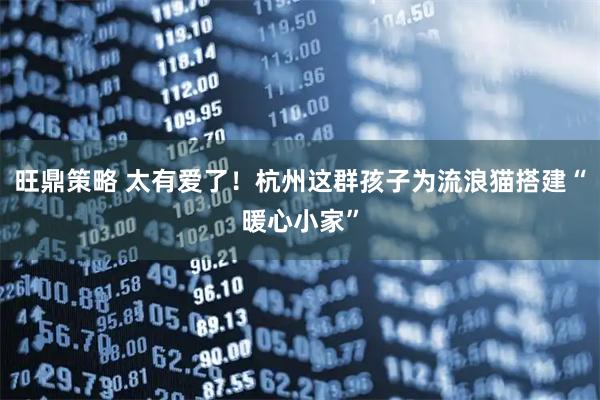 旺鼎策略 太有爱了！杭州这群孩子为流浪猫搭建“暖心小家”